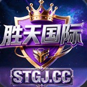 胜天国际